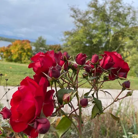 Labbnäs Semesterhem, Radhuset 3*