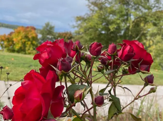 Labbnäs Semesterhem, Radhuset 3*